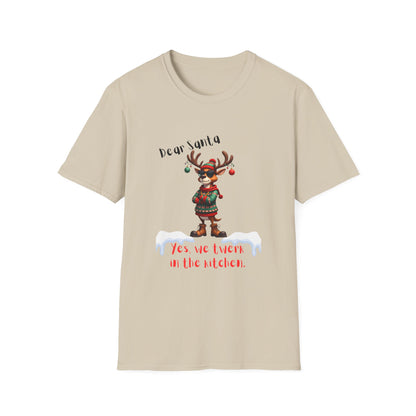 Festive Reindeer SwagDear Santa